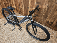 Rascal Bikes Fahrrad 24 Zoll Belt Drive 7-Gang