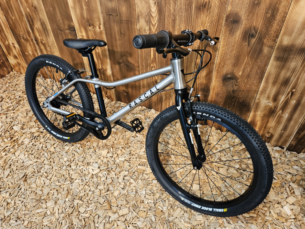 Rascal Bikes Fahrrad 20 Zoll Belt Drive 3-Gang