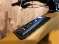 Transition Regulator SX Carbon XT