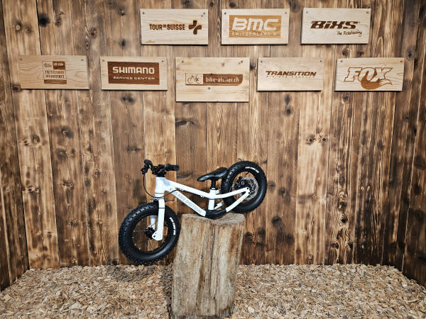 Kids Ride Shotgun Dirt Hero with Brake